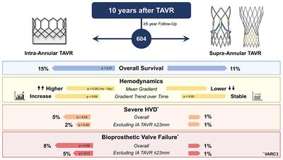 10-Year Impact of Transcatheter Aortic Valve Replacement Leaflet Design (Intra- Versus Supra-Annular) in Mortality and Hemodynamic Performance